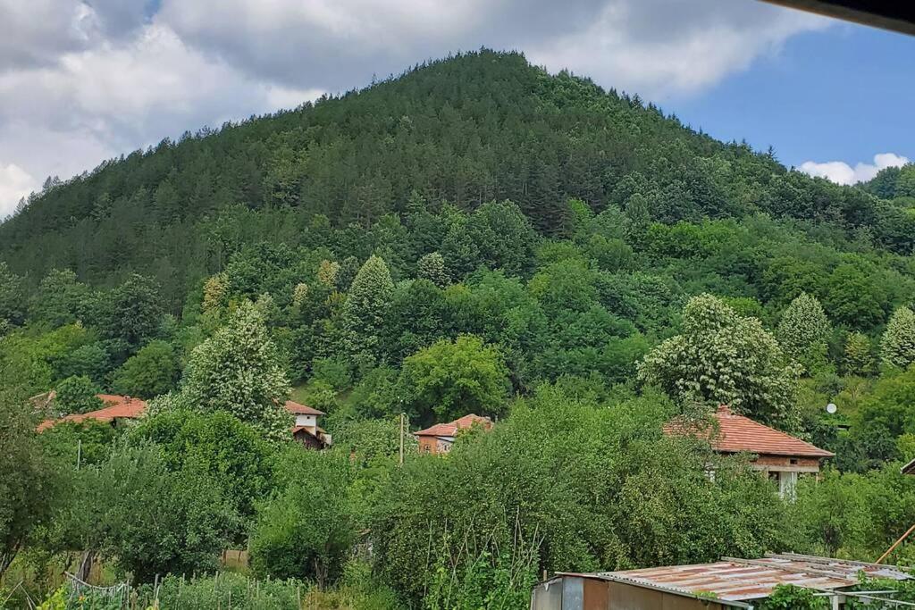 Двете Къщи В Планината Villa Beli Osŭm Buitenkant foto